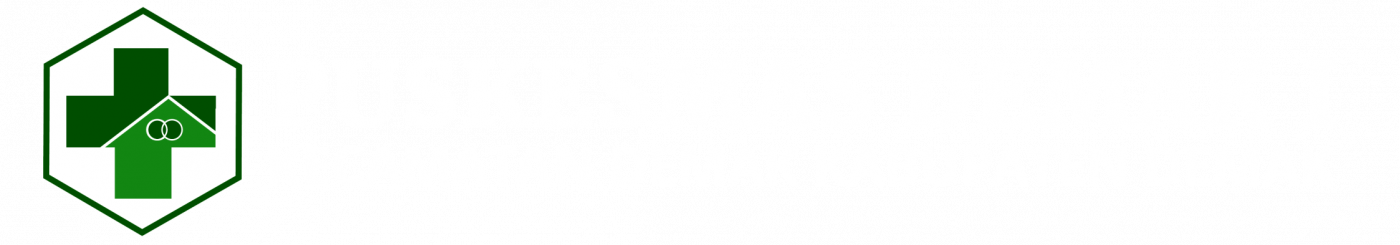 Logo Puskesmas Demak I Putih by Foryu Indonesia